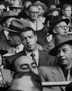 JoeD1952WS